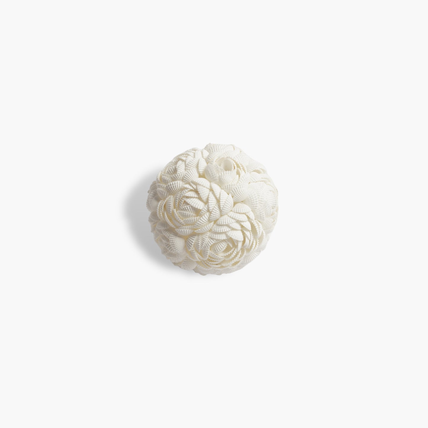 Coastal Shell Ball