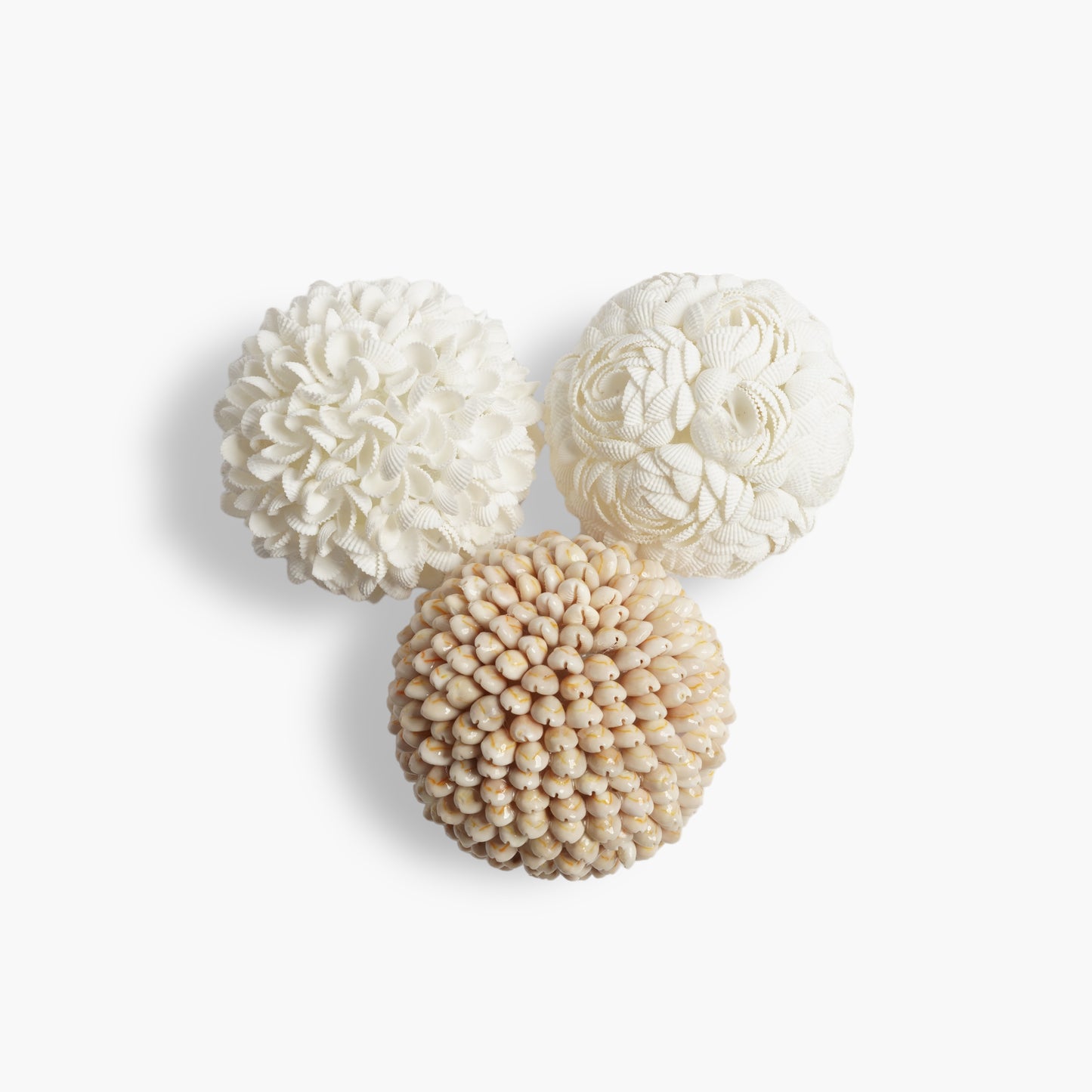 Coastal Shell Ball